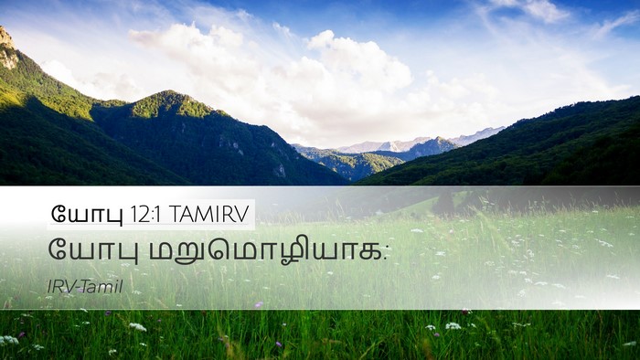 யோபு 12:1 TAMIRV Desktop Wallpaper - யோபு - Desktop Bible Verse Wallpaper