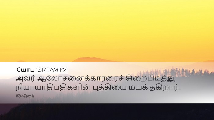 யோபு 12:17 TAMIRV Bible Verse Image