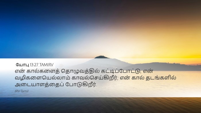 யோபு 13:27 TAMIRV Bible Verse Image
