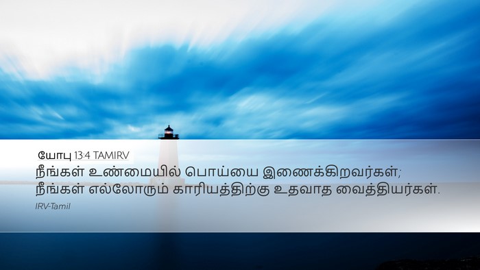யோபு 13:4 TAMIRV Bible Verse Image