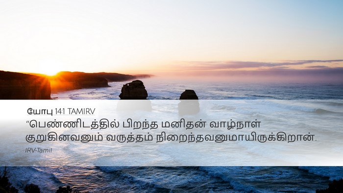 யோபு 14:1 TAMIRV Bible Verse Image