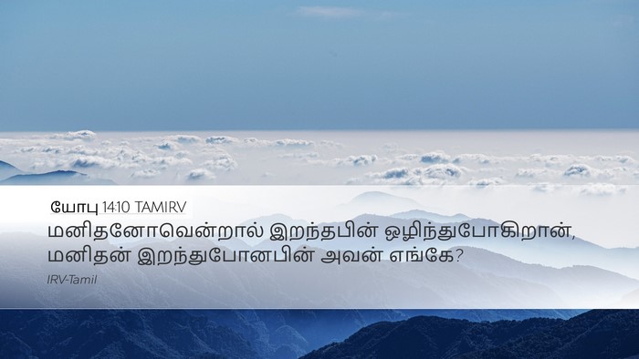 யோபு 14:10 TAMIRV Bible Verse Image