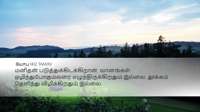 யோபு 14:12 TAMIRV Bible Verse Image