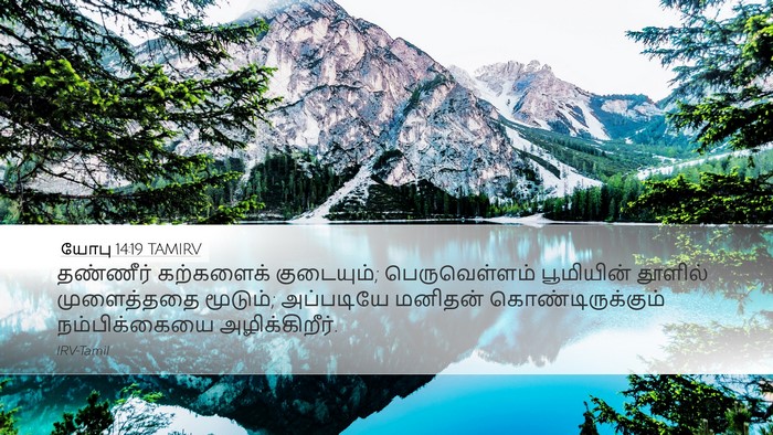 யோபு 14:19 TAMIRV Bible Verse Image