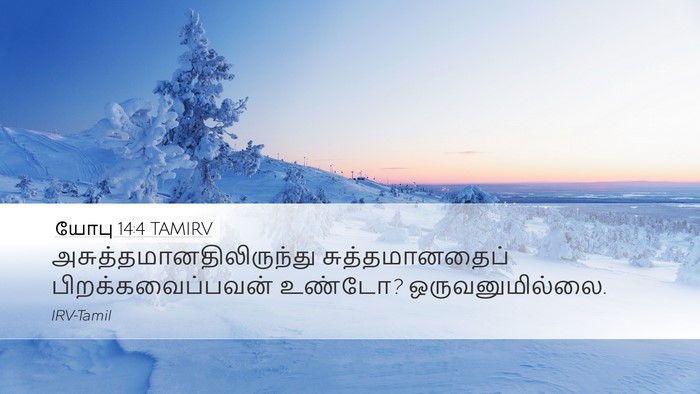 யோபு 14:4 TAMIRV Bible Verse Image