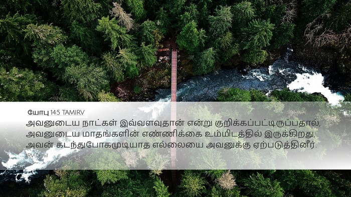 யோபு 14:5 TAMIRV Bible Verse Image