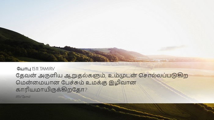 யோபு 15:11 TAMIRV Bible Verse Image