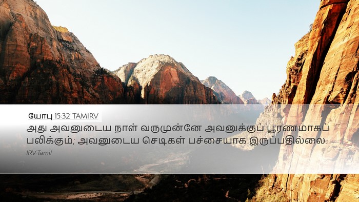 யோபு 15:32 TAMIRV Bible Verse Image