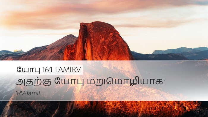 யோபு 16:1 TAMIRV Desktop Wallpaper - அதற்கு யோபு - Desktop Bible Verse Wallpaper