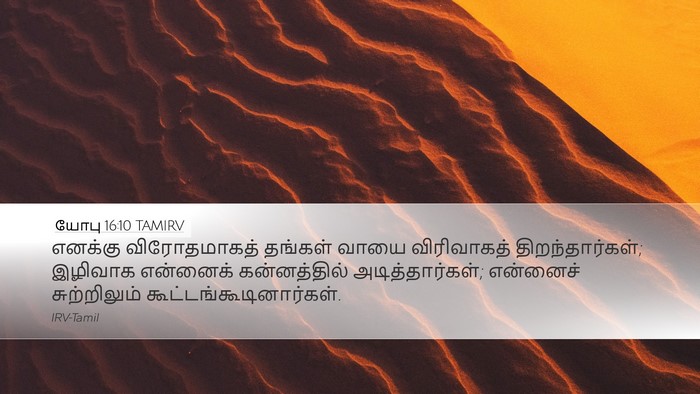 யோபு 16:10 TAMIRV Bible Verse Image