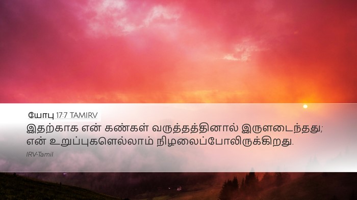 யோபு 17:7 TAMIRV Bible Verse Image
