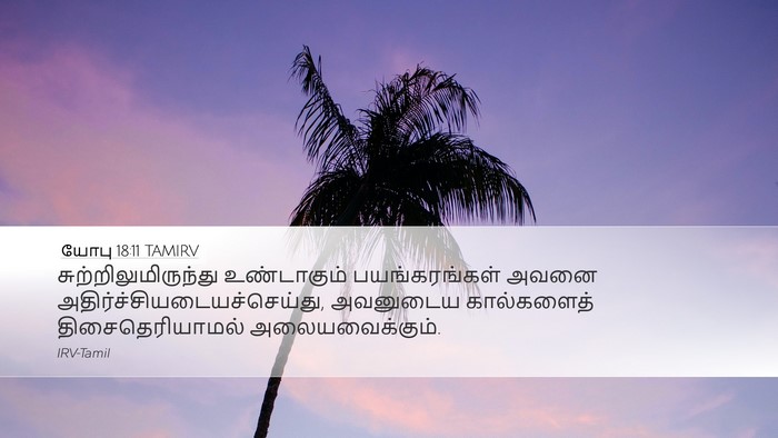 யோபு 18:11 TAMIRV Bible Verse Image