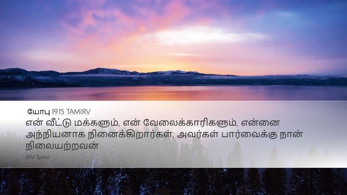 யோபு 19:15 TAMIRV Desktop Wallpaper - என் வீட்டு - Desktop Bible Verse Wallpaper