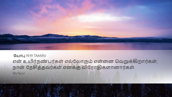 யோபு 19:19 TAMIRV Bible Verse Image
