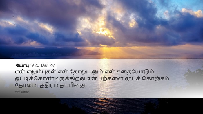 யோபு 19:20 TAMIRV Bible Verse Image