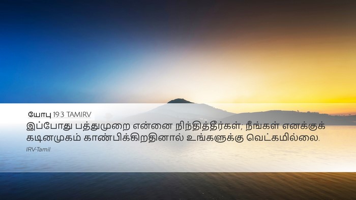 யோபு 19:3 TAMIRV Bible Verse Image