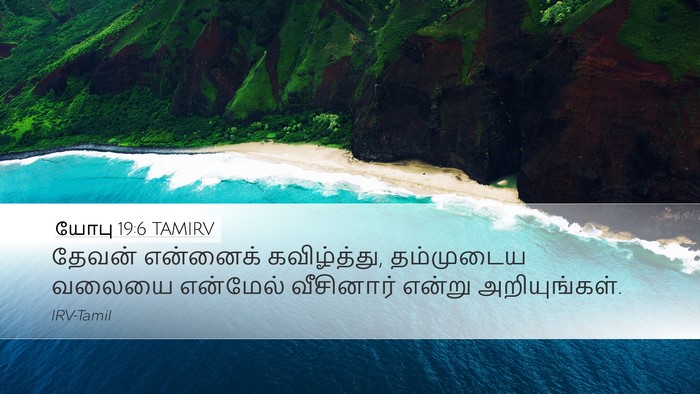 யோபு 19:6 TAMIRV Bible Verse Image