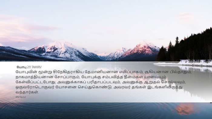 யோபு 2:11 TAMIRV Bible Verse Image