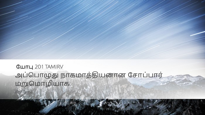 யோபு 20:1 TAMIRV Bible Verse Image