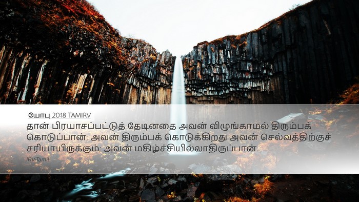 யோபு 20:18 TAMIRV Bible Verse Image