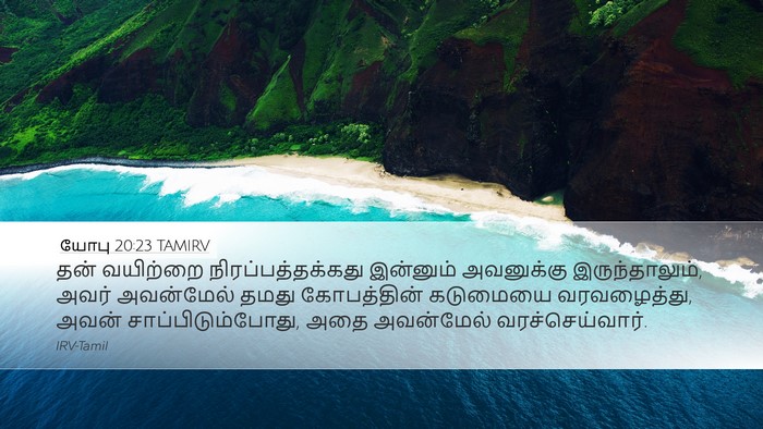 யோபு 20:23 TAMIRV Bible Verse Image