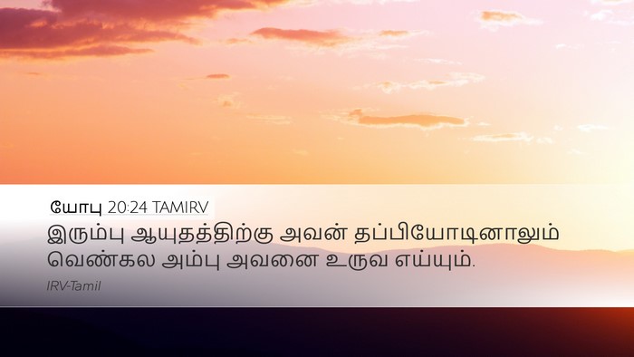 யோபு 20:24 TAMIRV Bible Verse Image