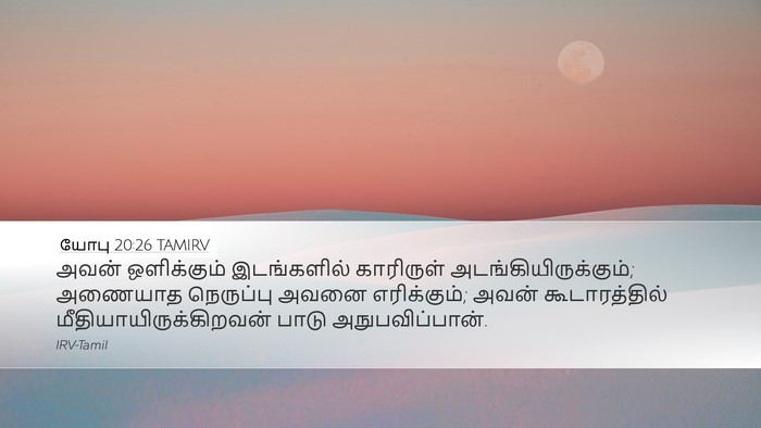 யோபு 20:26 TAMIRV Bible Verse Image