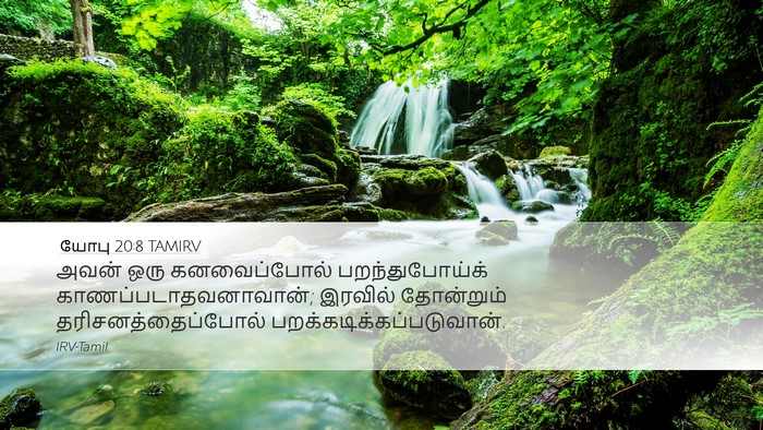 யோபு 20:8 TAMIRV Bible Verse Image