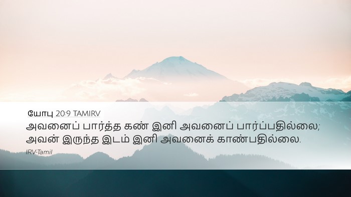 யோபு 20:9 TAMIRV Bible Verse Image