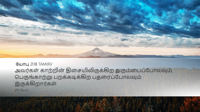 யோபு 21:18 TAMIRV Bible Verse Image