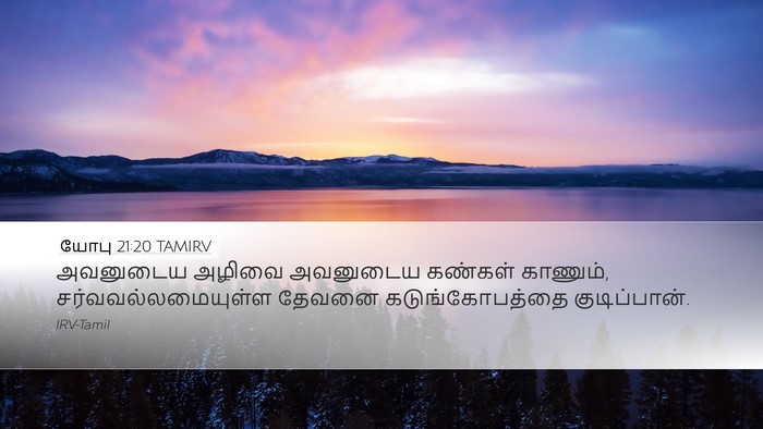யோபு 21:20 TAMIRV Bible Verse Image