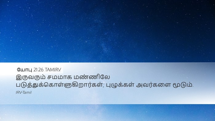 யோபு 21:26 TAMIRV Desktop Wallpaper - இருவரும் சமமாக - Desktop Bible Verse Wallpaper