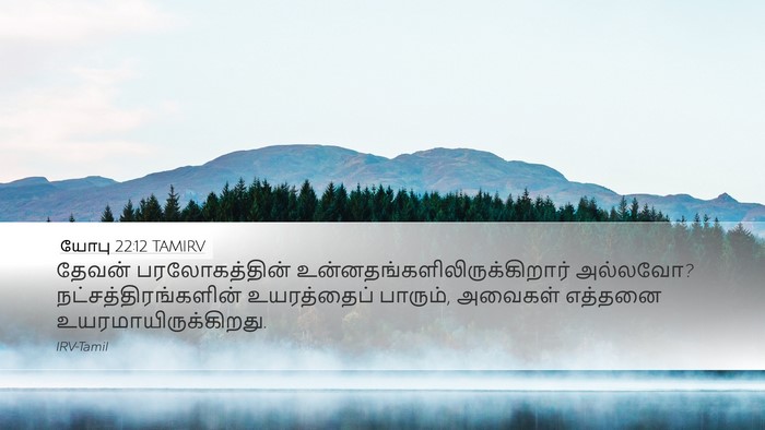 யோபு 22:12 TAMIRV Bible Verse Image