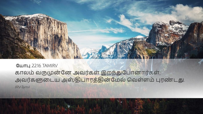 யோபு 22:16 TAMIRV Desktop Wallpaper - காலம் வருமுன்னே - Desktop Bible Verse Wallpaper