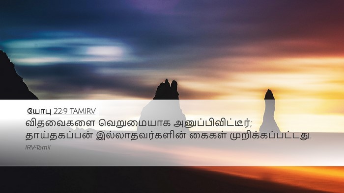 யோபு 22:9 TAMIRV Bible Verse Image