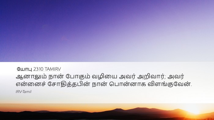யோபு 23:10 TAMIRV Bible Verse Image