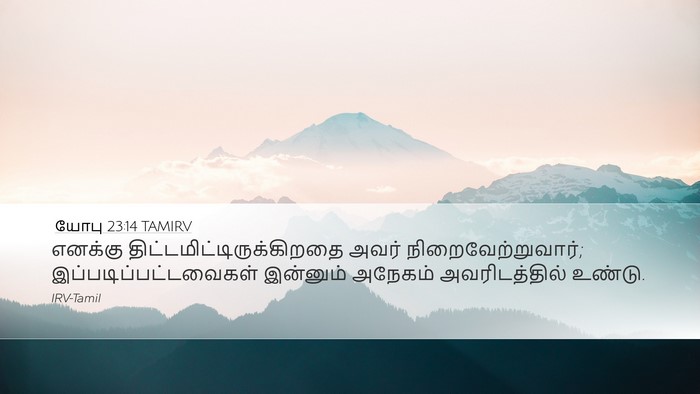 யோபு 23:14 TAMIRV Desktop Wallpaper - எனக்கு - Desktop Bible Verse Wallpaper