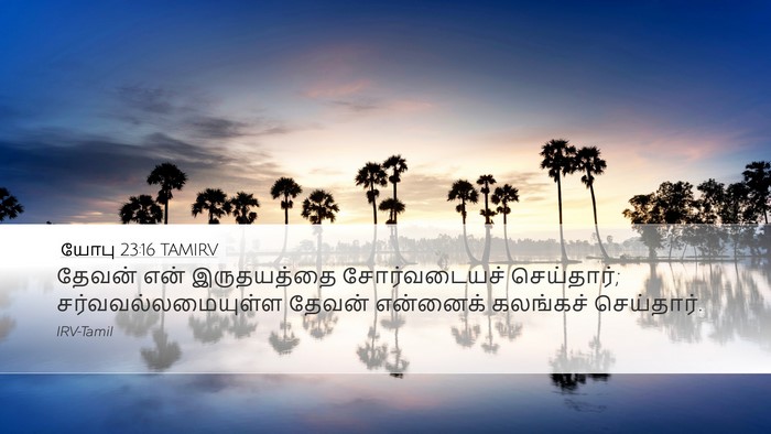 யோபு 23:16 TAMIRV Bible Verse Image