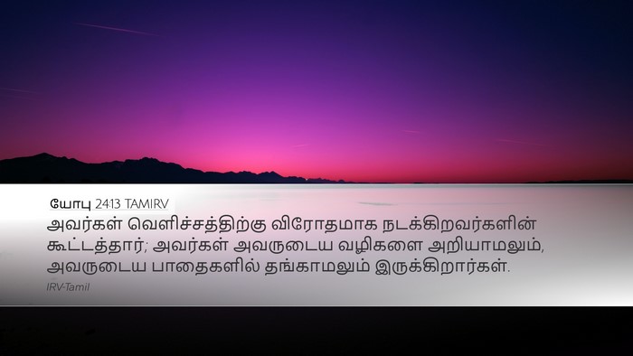 யோபு 24:13 TAMIRV Bible Verse Image