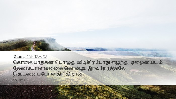 யோபு 24:14 TAMIRV Bible Verse Image