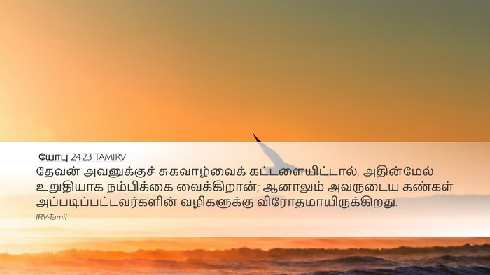 யோபு 24:23 TAMIRV Desktop Wallpaper - தேவன் அவனுக்குச் - Desktop Bible Verse Wallpaper