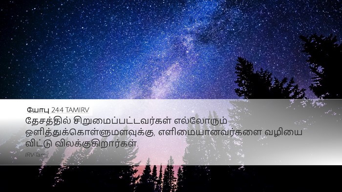 யோபு 24:4 TAMIRV Desktop Wallpaper - தேசத்தில் - Desktop Bible Verse Wallpaper