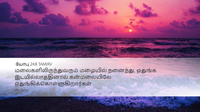 யோபு 24:8 TAMIRV Bible Verse Image