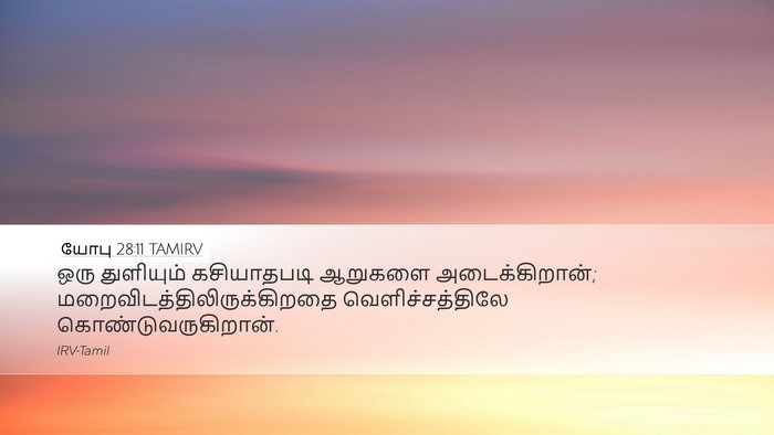 யோபு 28:11 TAMIRV Bible Verse Image