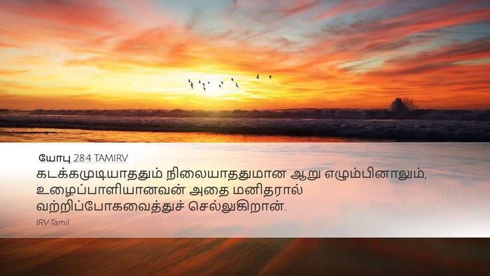 யோபு 28:4 TAMIRV Desktop Wallpaper - கடக்கமுடியாததும் - Desktop Bible Verse Wallpaper