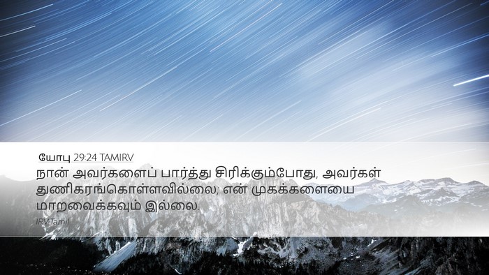 யோபு 29:24 TAMIRV Bible Verse Image