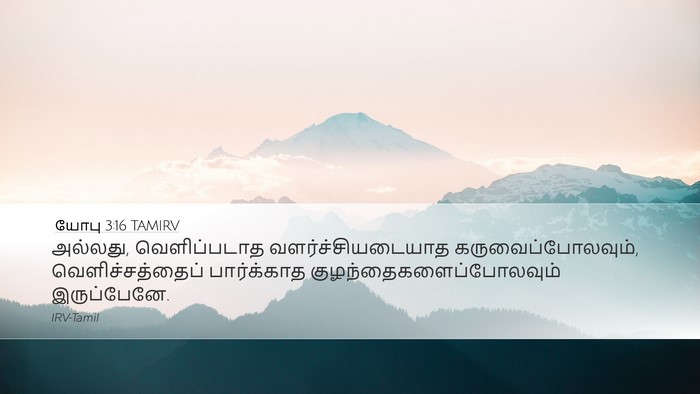 யோபு 3:16 TAMIRV Bible Verse Image