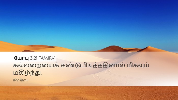 யோபு 3:21 TAMIRV Desktop Wallpaper - கல்லறையைக் - Desktop Bible Verse Wallpaper
