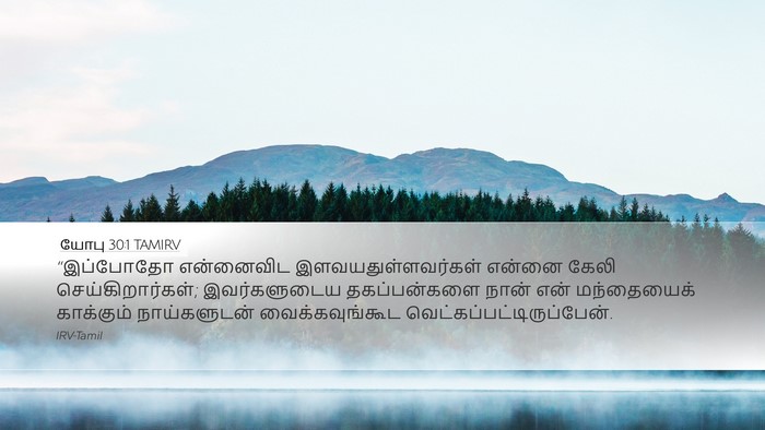 யோபு 30:1 TAMIRV Bible Verse Image
