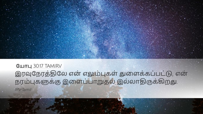 யோபு 30:17 TAMIRV Bible Verse Image